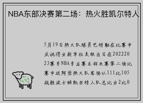 NBA东部决赛第二场：热火胜凯尔特人